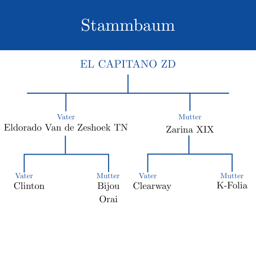 Stammbaum EL CAPITANO ZD Logo
