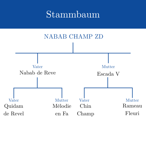 Stammbaum NABAB CHAMP ZD Logo