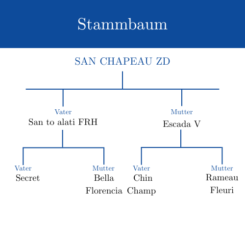 Stammbaum SAN CHAPEAU ZD Logo